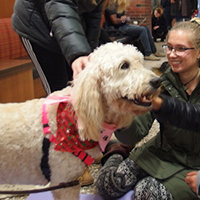 Female student petting dog