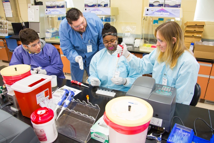 Biomedical Sciences students learn how to use a pipette under the watchful eye of their professor.