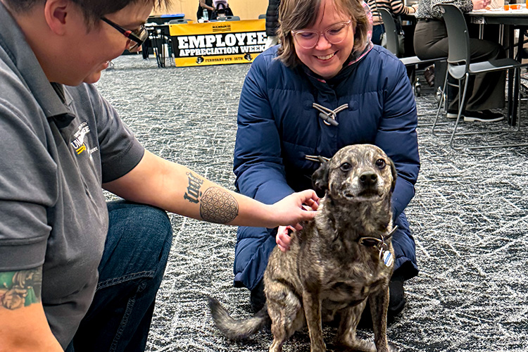 UWM employees petting a therapy dog.