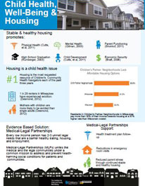 Healthy Housing Infographic