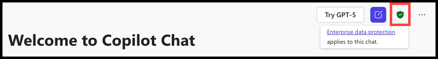 Welcome screen for Copilot Chat featuring the message, "Welcome to Copilot Chat", a button labeled "Try GPT-5", and a link stating "Enterprise data protection applies to this chat" below a green shield.