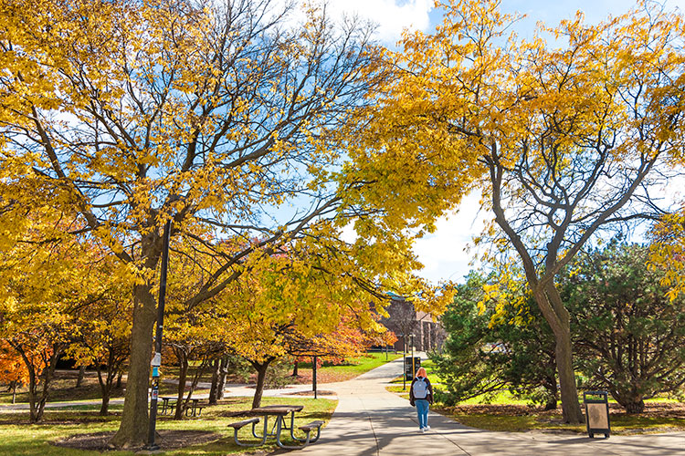 UWM Campus scene. Student walking along a tree lined path near the dorms.