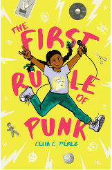 The First Rule of Punk book image