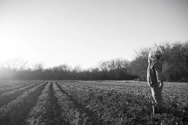 a person dressed as an astronaut standing in a field
