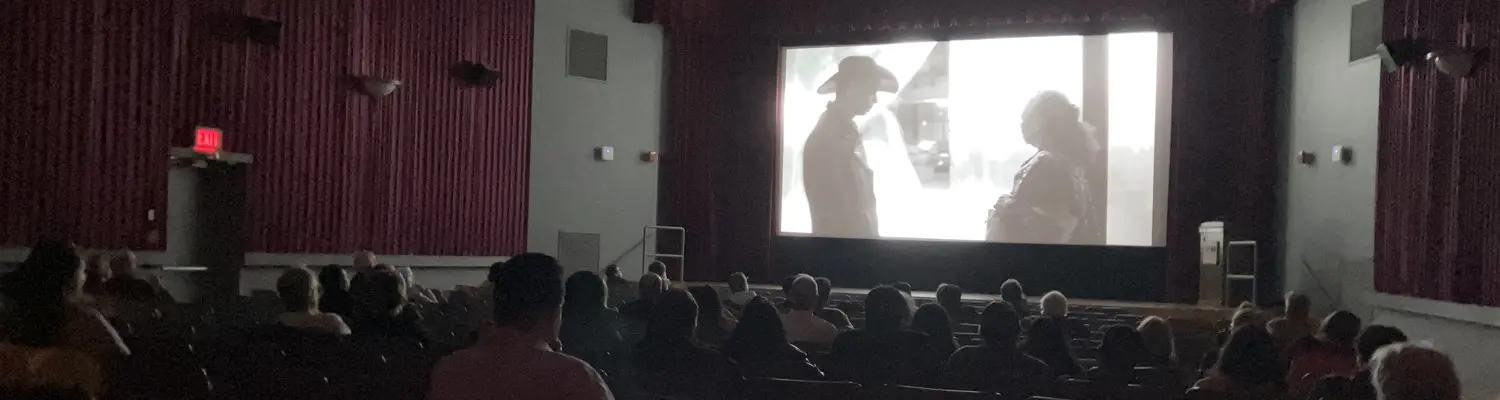 people in dark theater watching movie on screen