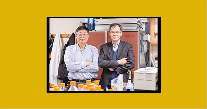 UWM professor Ching-Hong Yang and his business partner Daniel Burgin stand side-by-side in a science lab. Their arms are crossed.