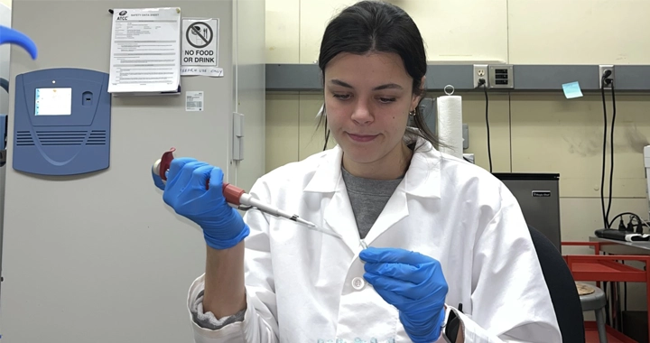 Undergraduate researcher Molly Drosen adds reagent to a DNA sample during the genotyping process.