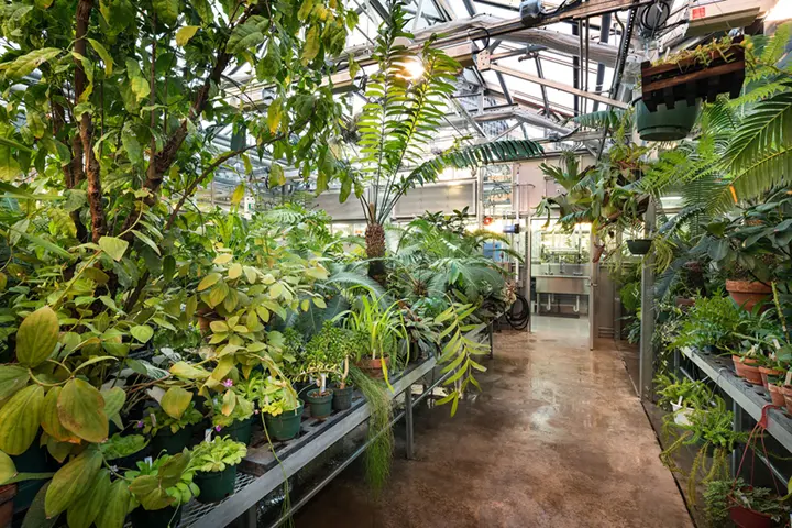 Details For Event 28268 – UWM Greenhouse Open House