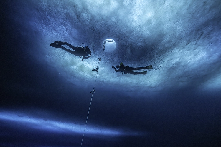 Two scuba divers are silhouetted against a blue sheet of ice above them. There is a small hole in the ice the divers are angling toward.