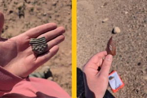 Two photographs side by side. On the left is a hand holding a gray fragment of ancient pottery. On the right is a hand holding a brown stone tool shaped like an arrowhead.