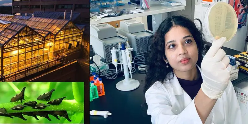 montage of biology lab things