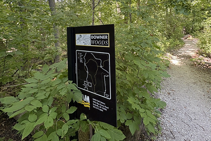 A white gravel path trails off into leafy green woods. A black sign next to the path reads Downer Woods and has a trail map.