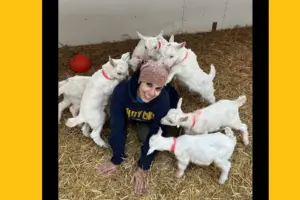 A young woman wearing a scarf over her hair and a blue sweatshirt kneels in some hay while six white baby goats surround her.