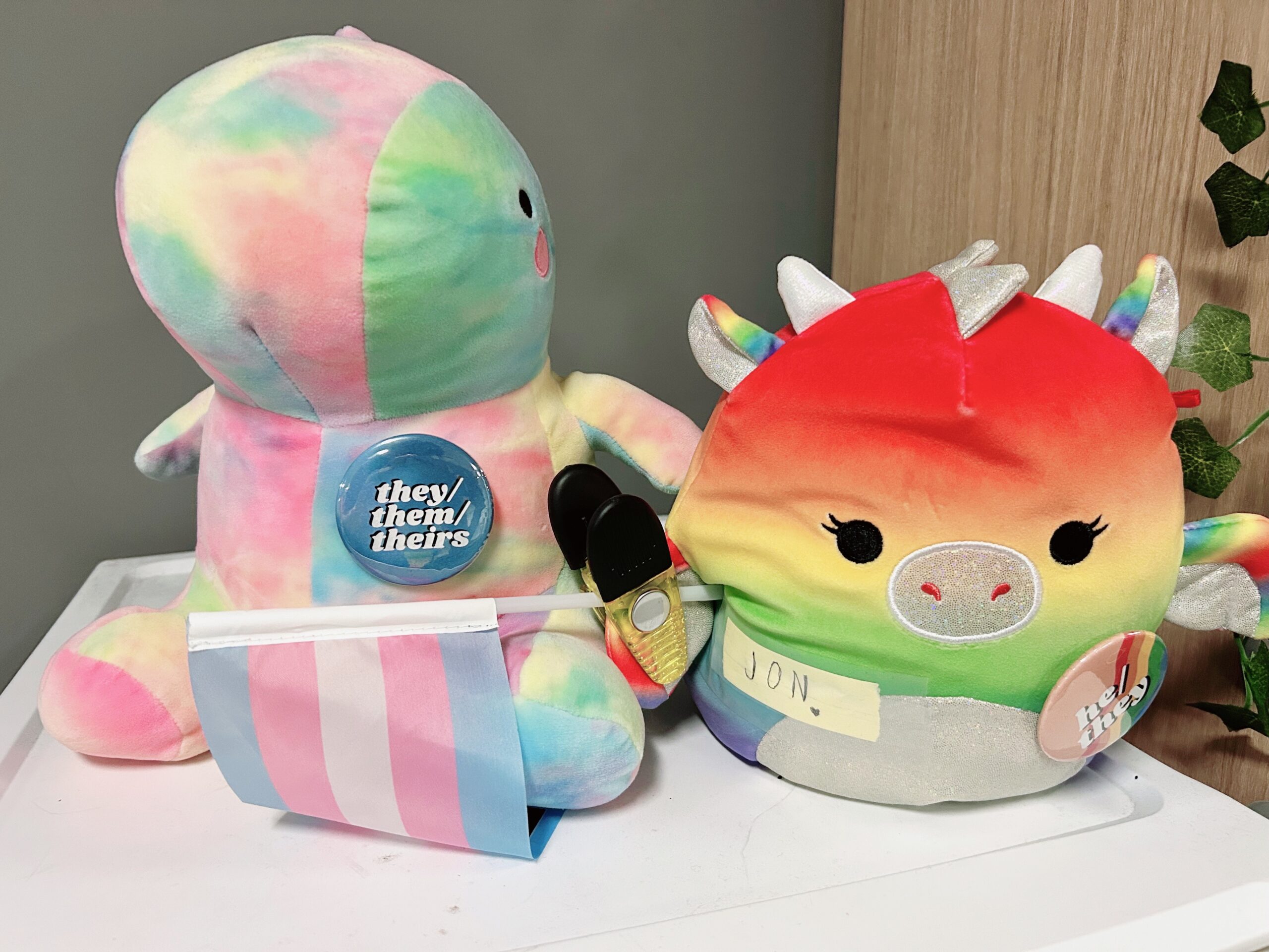 Two colorful plush toys: a pastel octopus with a "they/them/theirs" button and a rainbow unicorn named "JON" with a "hello" badge, next to a small trans pride flag.