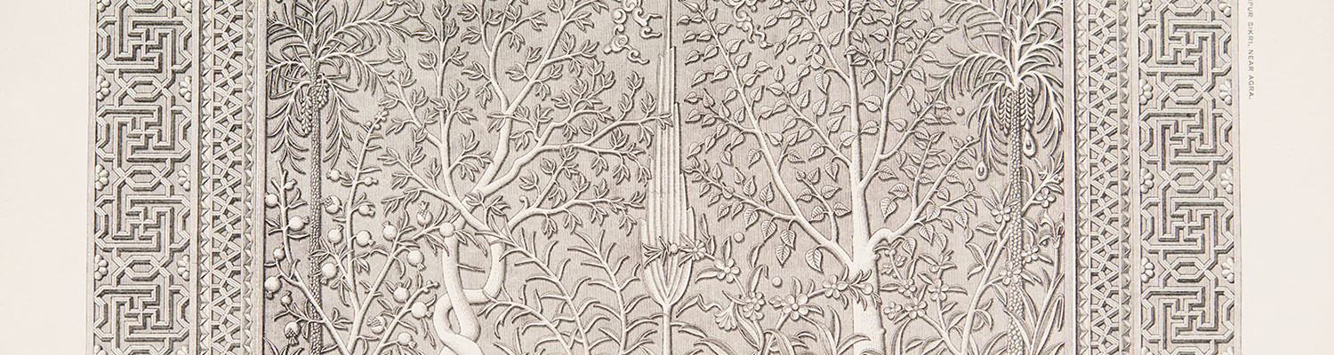 Detail from the Jeypore Portfolio collection