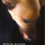Witch Hunts: From Salem to Guantanamo Bay