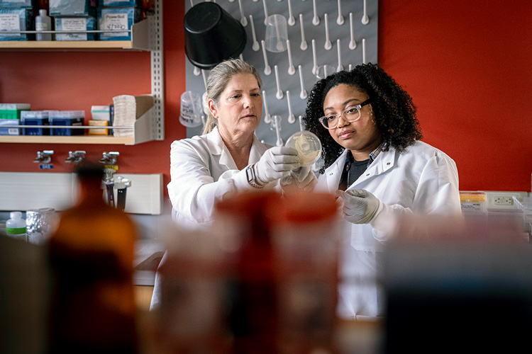 Faculty mentor Sandra McLellan works with student Kie Dennis in lab at the School of Freshwater Sciences