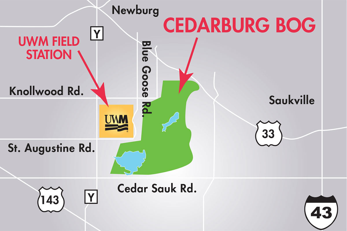 Wild UWM: The Cedarburg Bog