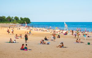Bradford Beach is enjoying a new day in the sun after aggressive cleanup and naturalization efforts improved water quality and boosted overall beach health. (UWM Photo)