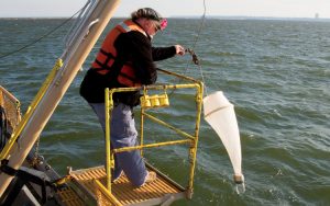 Russell Cuhel gathers water samples.