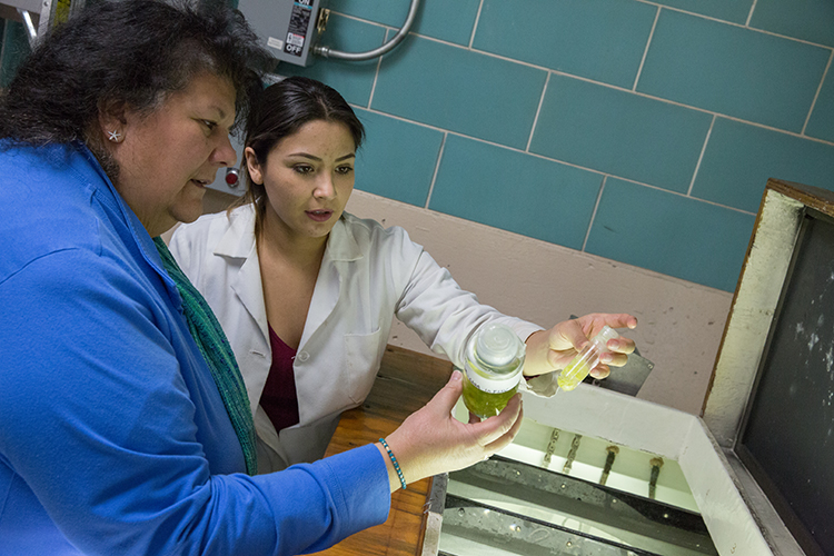Cristal Sanchez-Estrada (right) works in lab with Carmen Aguilar, an associate scientist in the School of Freshwater Sciences. (UWM Photo/Troye Fox)