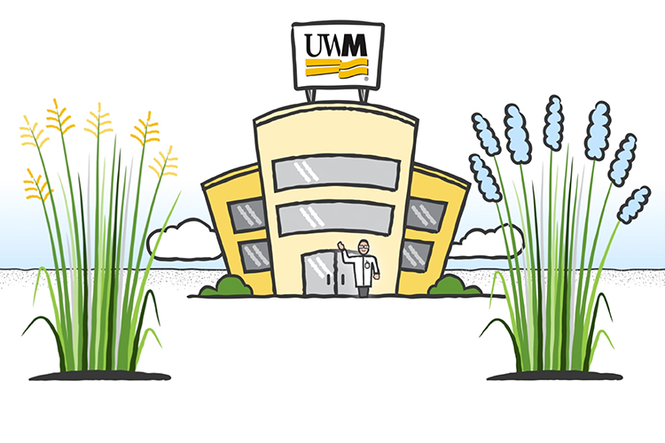 Cartoon illustration of a building with a UWM sign on top and a researcher waving out front with switchgrass in the foreground.