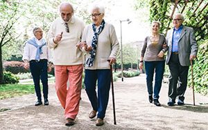 Senior citizens walk in a park