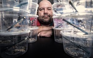 Picture of researcher with containers of spiders