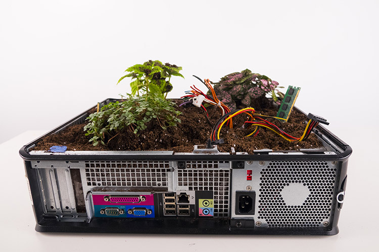 The shell of a computer is filled with dirt and plants.