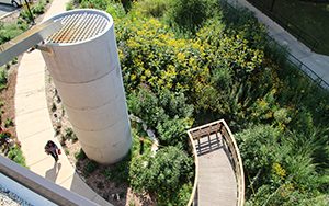 An overhead perspective on the garden shows a path and a cistern.