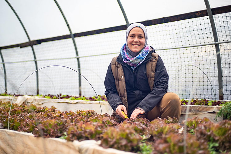 A woman tends to a garden in a greenhouse.