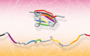 Illustration of protein folding