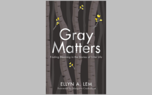 Gray Matters book cover against gray background