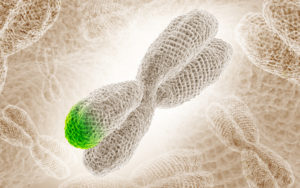 Photo illustration of a chromosome