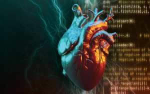 Photo illustration of a human heart