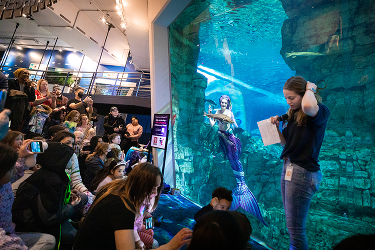 Mermaid Echo performs at Discovery World, promotes water conservation