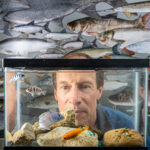 Freshwater Sciences professor Harvey Bootsma stares at a colorful fish tank in his office.