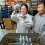 Freshwater sciences student Jena Choi examines a vial of wastewater alongside faculty mentor Laodong Guo