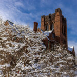 Snow covers the branches of some bushes, with the red-brick walls of Mitchell Hall in the background.