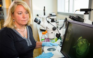 Freshwater Sciences Professor Rebecca Klaper and her colleagues at the Center for Sustainable Nanotechnology have received a $20 million National Science Foundation grant to help develop safer, more sustainable nanoparticles. The particles are already used in hundreds of products ranging from sunscreen to sporting goods. (UWM Photo/Derek Rickert)