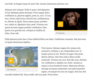 inline_media_shortcode