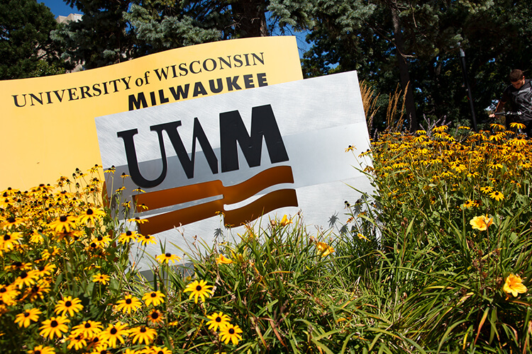 UWM Outdoor Sign with wild black eye susan flowers