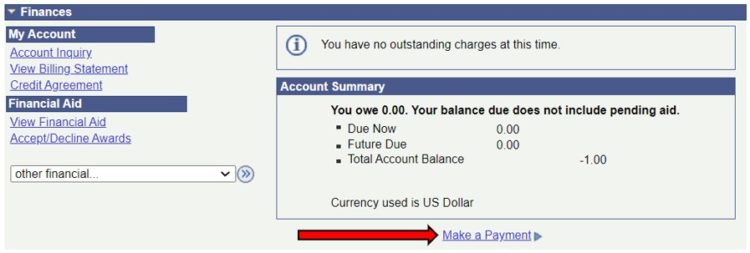 Make a Payment Link Screen Shot