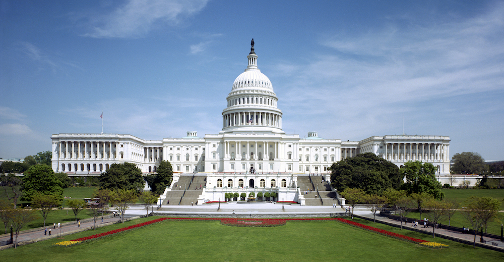 Introduction to American Government and Politics | Online Summer