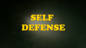 Self Defense Course – Fall 2026