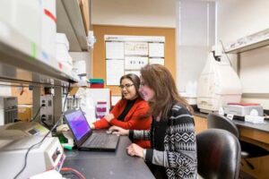 two people working at computer