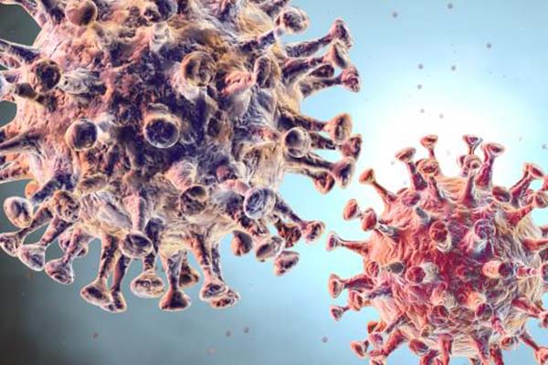 U.S. coronavirus cases surpass 9 million with no end in sight