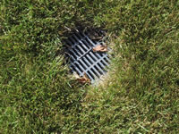 Photo of a lawn drain installed in Milwaukee Idea Home backyard