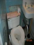 Image of Housing Plus 2 Project Old Bathroom Toilet
