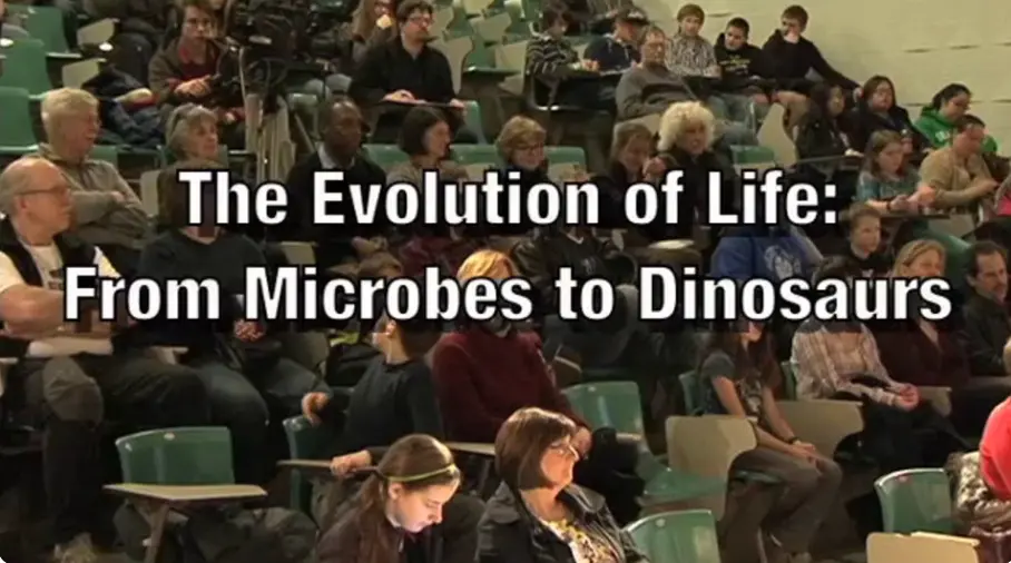 The Evolution of Life: From Microbes to Dinosaurs